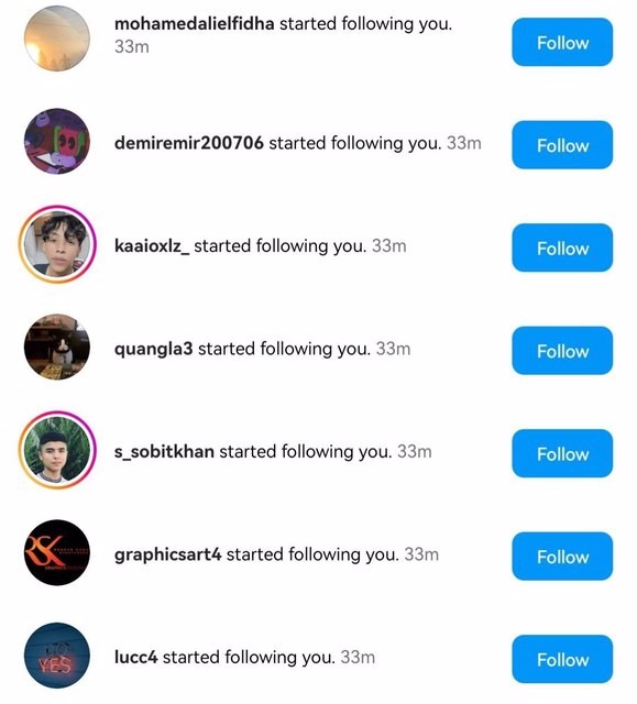 Instagram Followers (BOTS)