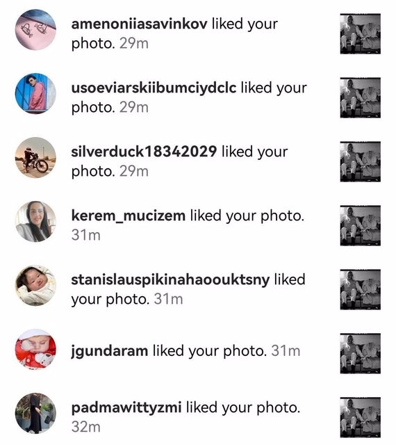 Instagram Likes (Real Mixed)